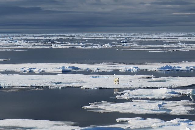 Voyage Découverte de l'archipel du Svalbard