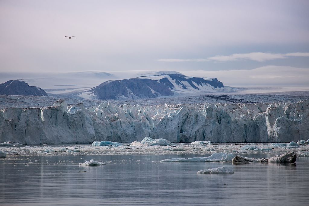 Image Croisière expédition - Spitzberg - Edgeoya - Storfjorden