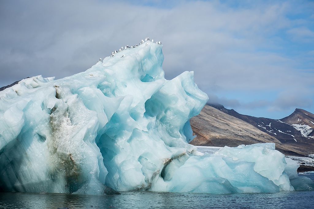 Image Croisière expédition - Spitzberg - Edgeoya - Storfjorden