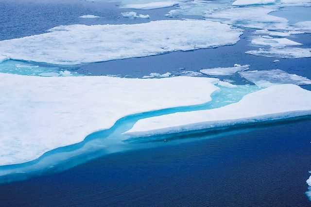Bateaux d'expédition : Un été avec les ours polaires Voyage Un été avec les ours polaires
