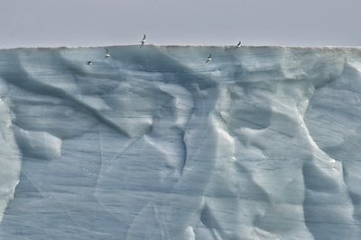 Glacier Brasvellbreen - Spitzberg