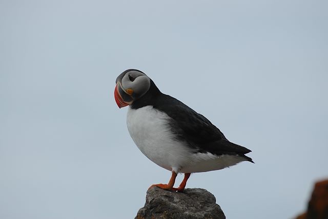 Voyage Grande exploration au Spitzberg