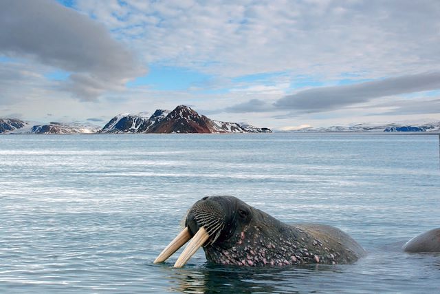 Voyage Multi-activités au Spitzberg