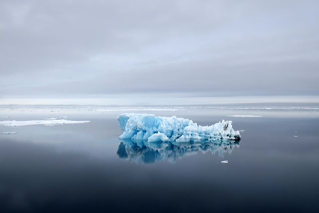 Voyage Rencontre avec la faune le long de la banquise