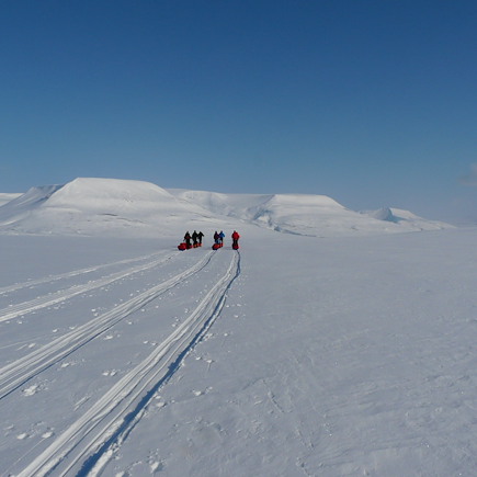 Ski de fond et ski nordique Spitzberg