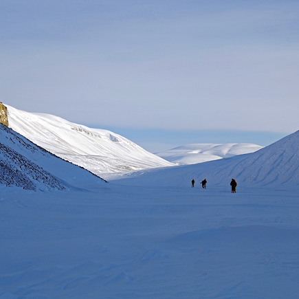 Ski de fond et ski nordique Spitzberg