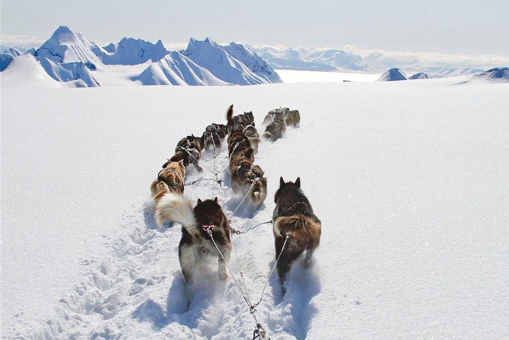 Image Voyage Spitzberg - Voyage découverte - Chiens de traineau - motoneige