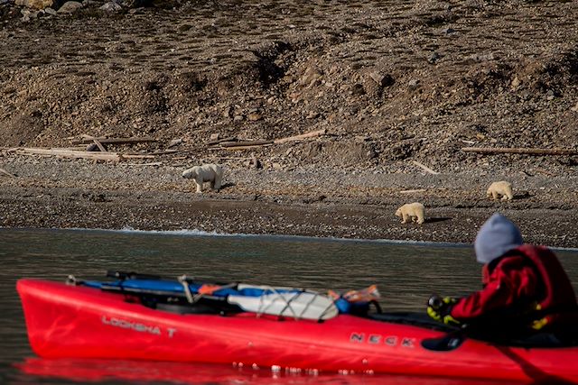 Kayak et canoë Spitzberg