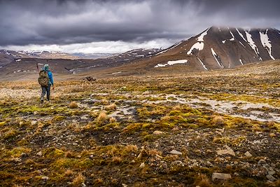 Spitzberg - Archipel du Svalbard - Norvège