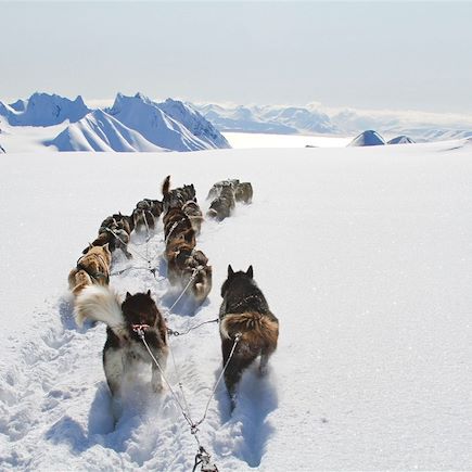 Traîneau à chiens Spitzberg