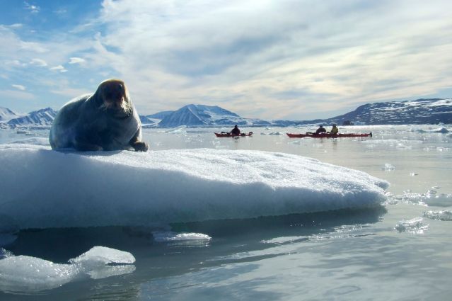 Voyage En kayak sur les rives de l'océan glacial arctique 3
