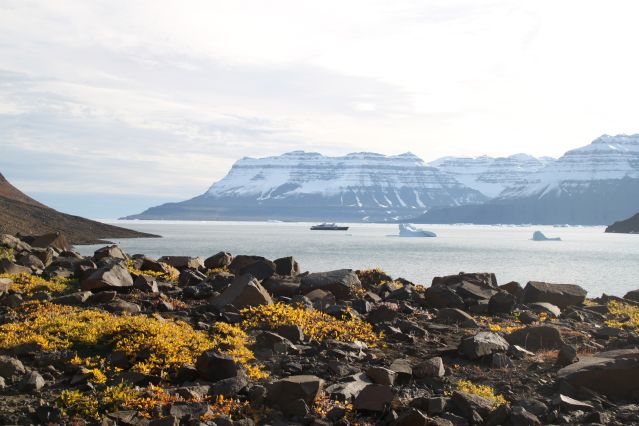 Voyage Odyssée Arctique : du Spitzberg au Groenland 