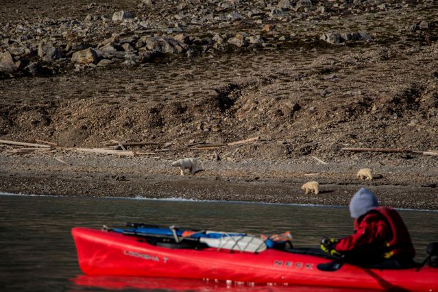 Voyage En kayak sur les rives de l'océan glacial arctique 2