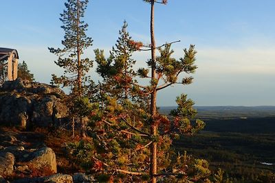 Fin d'été en laponie suédoise - Suède