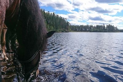 Sur les rives du fleuve Skelleftealven - Suède
