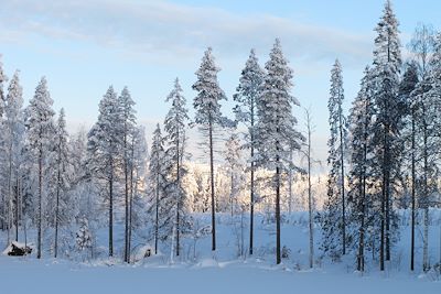 Région de Vasterbotten - Laponie