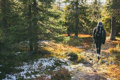 © VisitFinland - Randonneur dans le parc national de Pallas-Yllästunturi, Laponie Randonneur dans le parc national de Pallas-Yllästunturi, Laponie