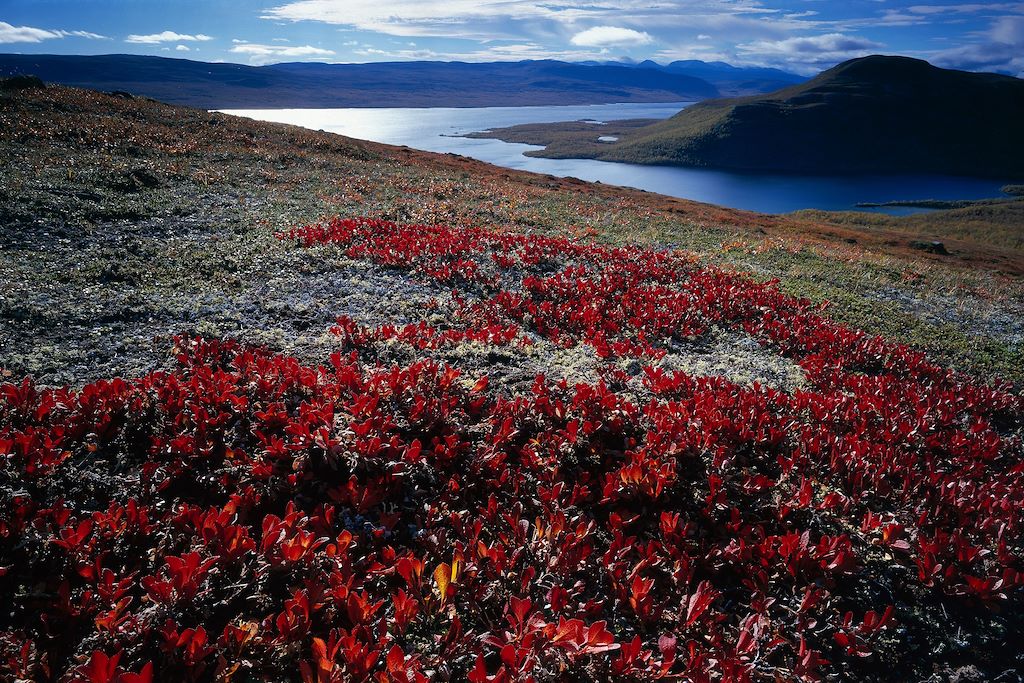 Voyage Randonnée dans le Sarek 3