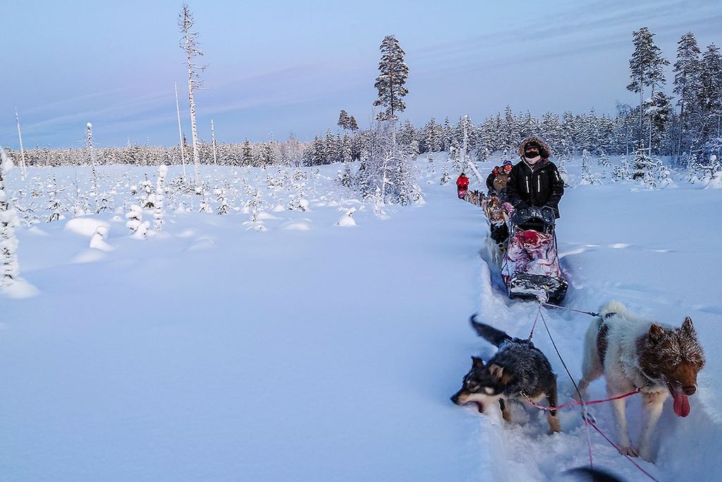 Voyage Traîneau à chiens au pays des Sami 3