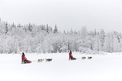 Ski de fond et ski nordique Laponie suédoise