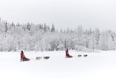 Traîneau à chiens Suède