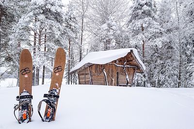 Ski altaï - Laponie - Suède