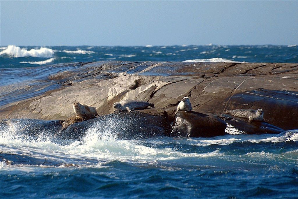 Voyage Balade le long de la côte ouest de la Suède 3