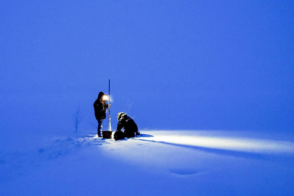 Voyage Raid en ski Altaï et chien de traineau 2