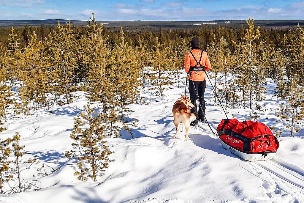Voyage Raid en ski Altaï et chien de traineau 1