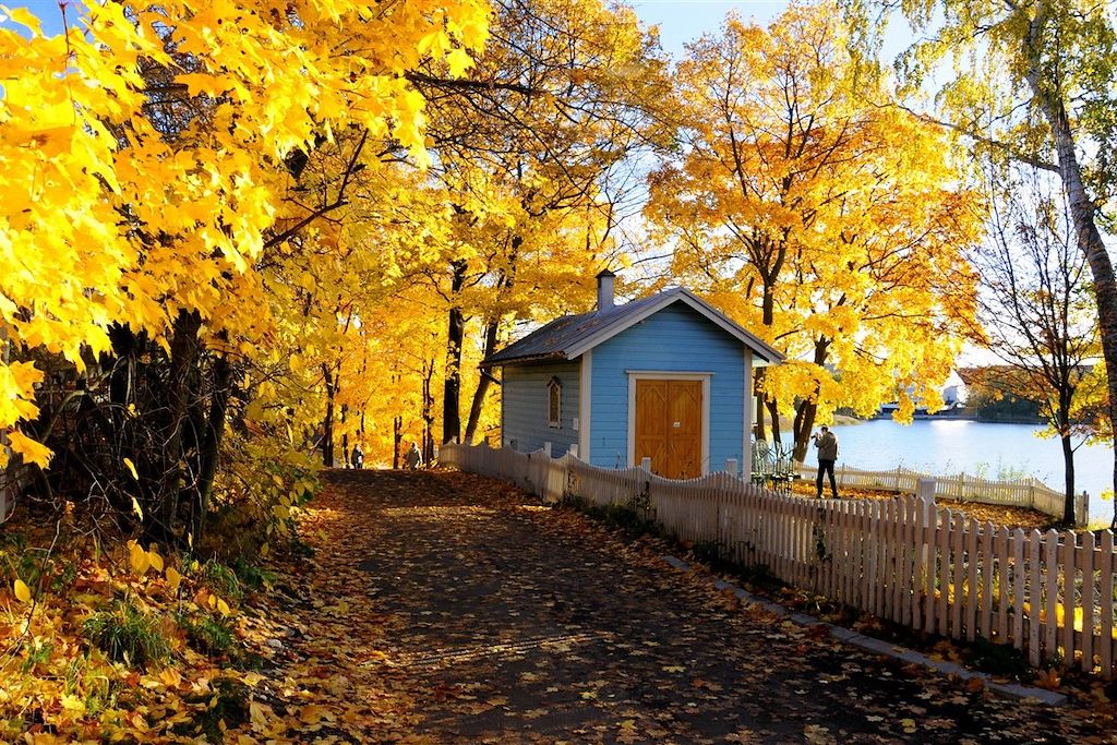 Voyage Aventure d'automne en Laponie 3