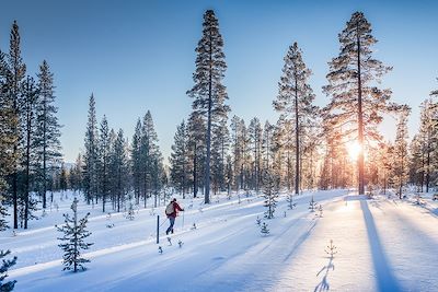 Ski de randonnée nordique en Laponie suédoise - Suède