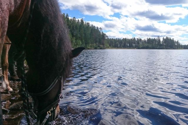 Voyage Voyage en famille au rythme de la nature suédoise
