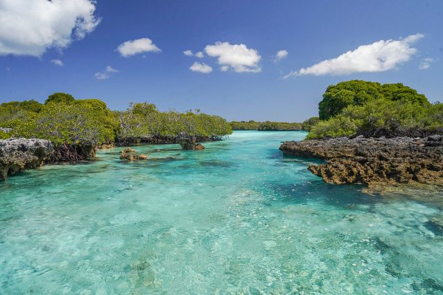 Voyage Seychelles et atoll d'Aldabra