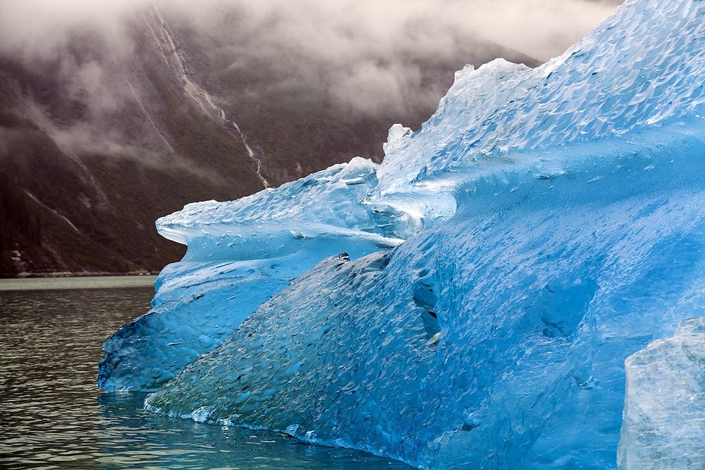 Voyage Ours, baleines et glaciers 3