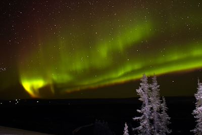 Aurores boréales - Fairbanks - Alaska