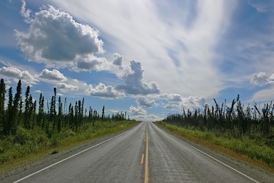 © All Alaska Tours - Taylor Highway - Alaska Taylor Highway - Alaska