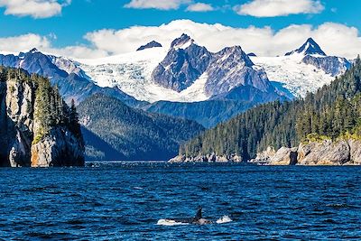 Parc National des Kenai Fjords - Alaska - Etats-Unis