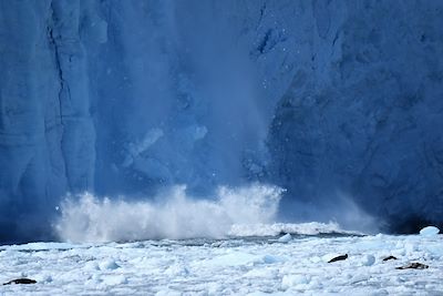 Glacier Aialik - Péninsule de Kenai - Alaska - États-Unis 