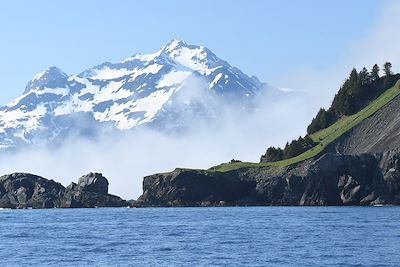 Brouillard dans la péninsule de Kenai - Alaska - États-Unis 