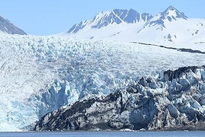 Glacier Mc Carty - Péninsule de Kenai - Alaska - États-Unis 