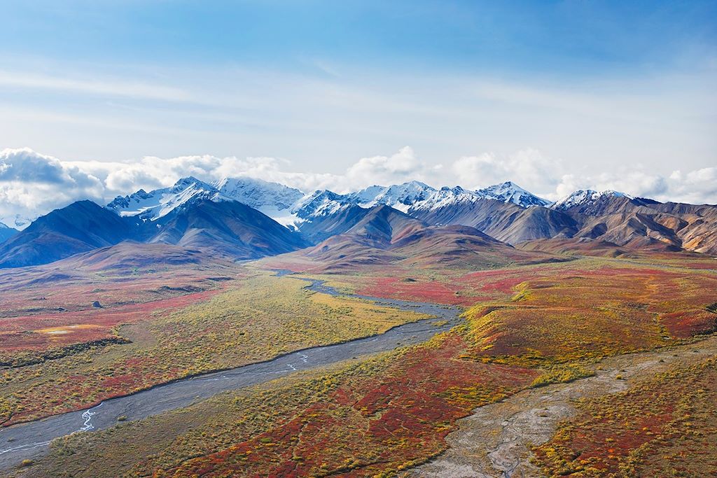 Le parc Denali en Alaska