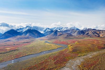 Randonnées en terre sauvage d'Alaska