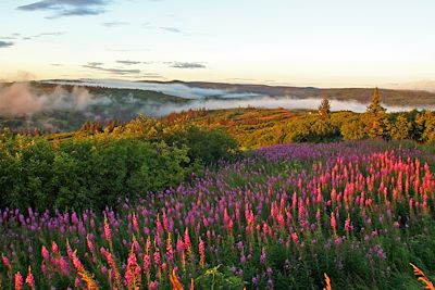 © All Alaska Tours - Alaska Alaska