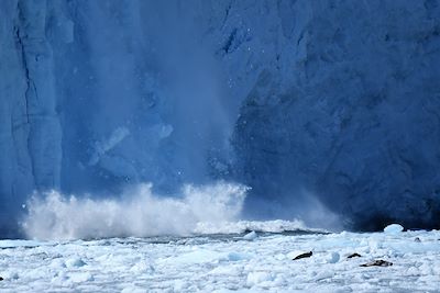 Glacier Aialik - Péninsule de Kenai - Alaska - États-Unis 