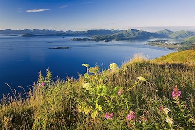 Vue sur Chiniak Bay - Pillar Mountain - Kodiak - Alaska - Etats-Unis