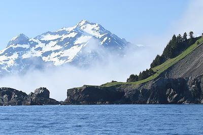 Brouillard dans la péninsule de Kenai - Alaska - États-Unis 