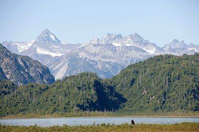 Ours - Redoubt Bay