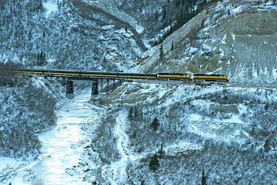 Passage du train d'Alaska au parc national Denali