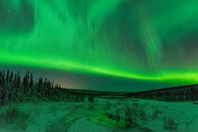 Aurore boréale - Alaska - Etats-Unis