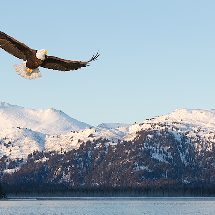 Découverte Etats-Unis Alaska